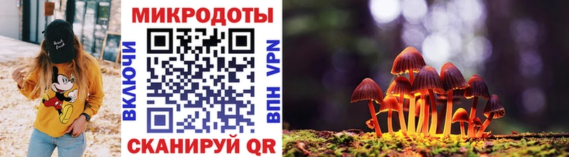 Купить закладки  Ипатово  Псилоцибиновые грибы MAGIC MUSHROOMS 